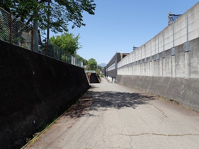 ��э����w�摜