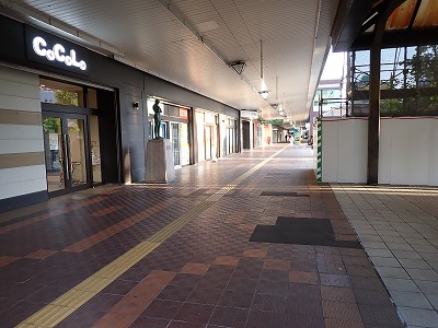 �����w�摜