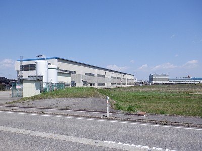 w摜