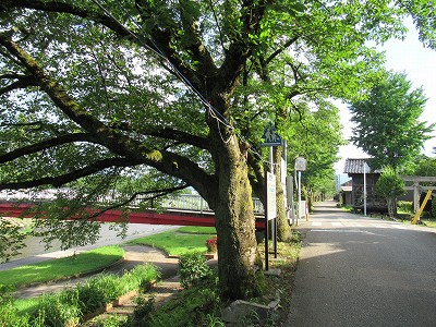 w摜
