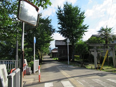 w摜