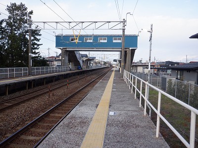 �����q�w�摜