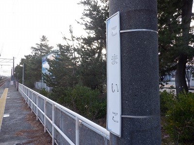 �����q�w�摜