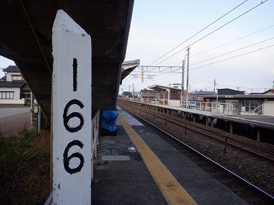 �����q�w�摜