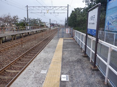 �����q�w�摜