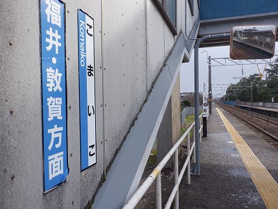 �����q�w�摜