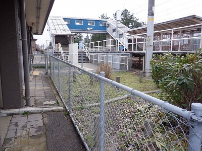 �����q�w�摜