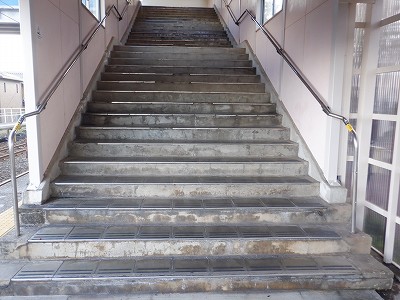 �����q�w�摜