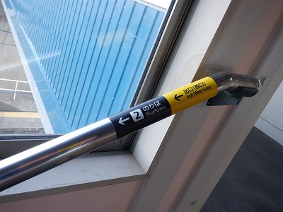 �����q�w�摜