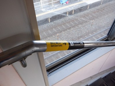 �����q�w�摜