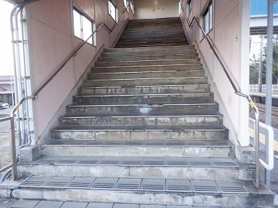 �����q�w�摜