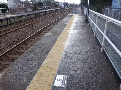 �����q�w�摜