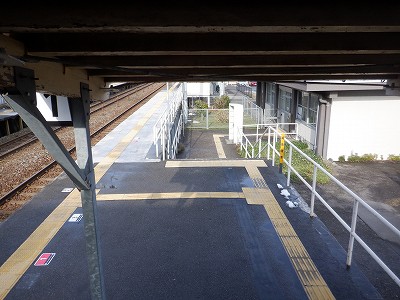 �����q�w�摜