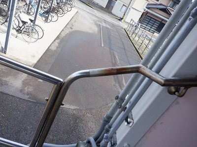 �����q�w�摜