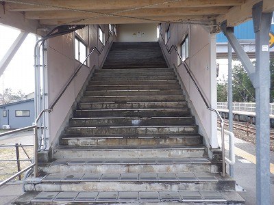 �����q�w�摜