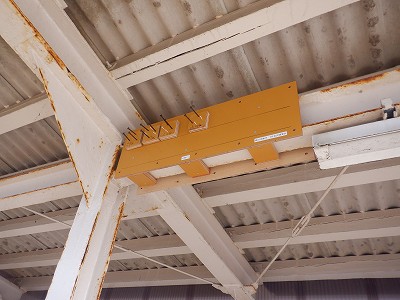 �����q�w�摜