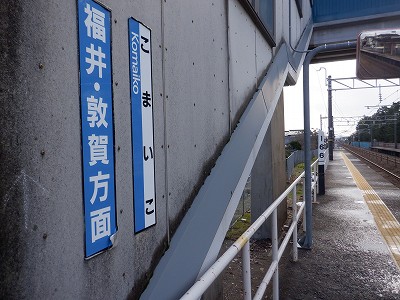 �����q�w�摜