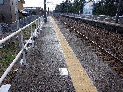 �����q�w�摜