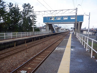 �����q�w�摜