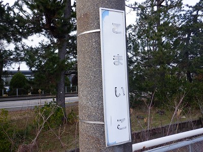 �����q�w�摜