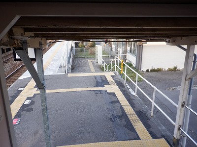 �����q�w�摜