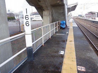 �����q�w�摜