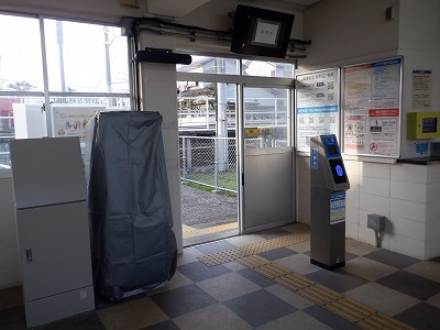 �����q�w�摜