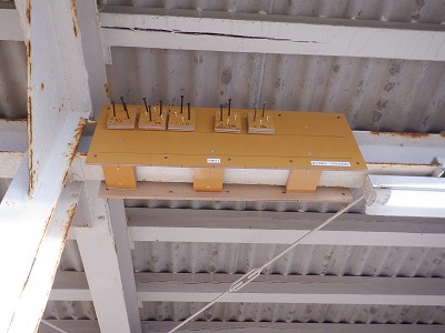 �����q�w�摜