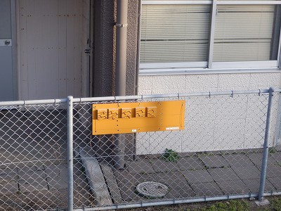 �����q�w�摜