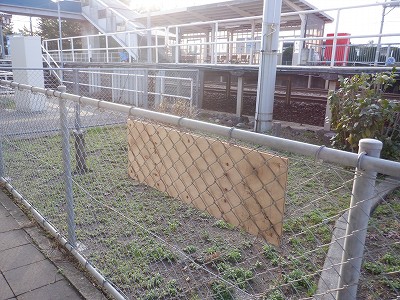 �����q�w�摜