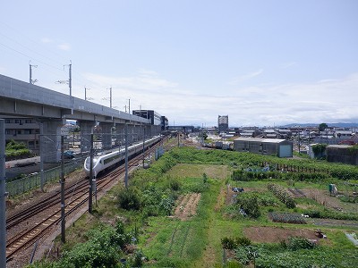 w摜