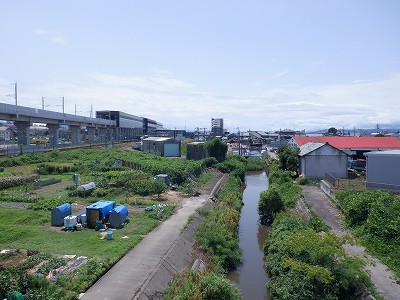 w摜