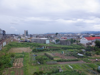 w摜