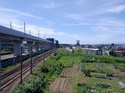 w摜