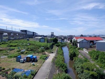 w摜