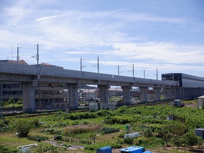 w摜