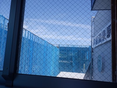 w摜