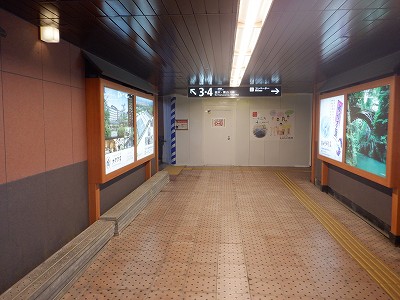 ꉷw摜