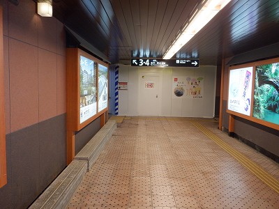 ꉷw摜