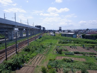 w摜