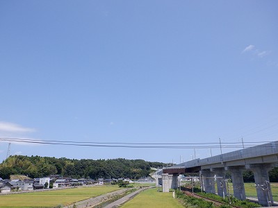 w摜