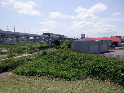 w摜