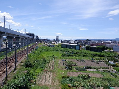 w摜