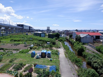 w摜
