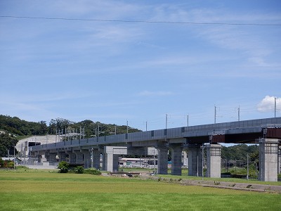 w摜