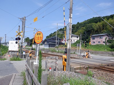 ꉷw摜