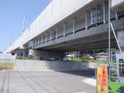ꉷw摜