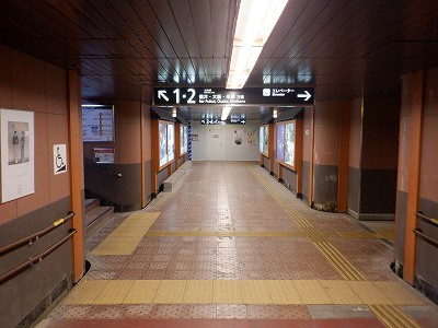 ꉷw摜