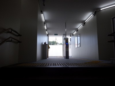 ꉷw摜