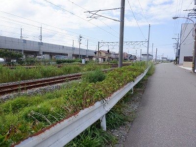ꉷw摜